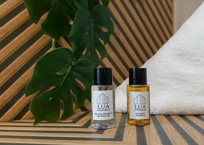 With Mountain View In Apartment *